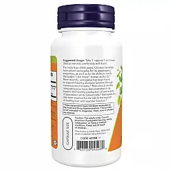 Astragalus Extract 500mg - 90vcaps