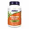 Boswellia Extract 500 mg - 90 sgels