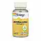 Akkermansia Postbiotic - 30 vcaps