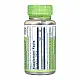 Solaray Gotu Kola Aerial 450mg - 100 vcaps 2023-10-6721