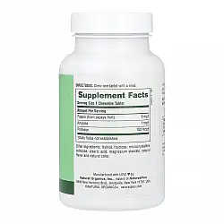 Papaya Enzyme - 360 tabs