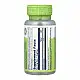 Solaray Rose Hips Fruit 550mg - 100 vcaps 2023-10-6725