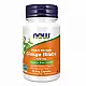 Now Foods Ginkgo Biloba 120mg - 50 vcaps 100-76-3642007-20
