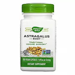 Astragalus Root - 100 vcaps