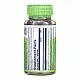 Solaray Devil's Claw Root 525mg - 100 vcaps 2023-10-6966