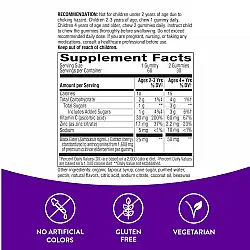 Sambucus Kids Immune Support - 60 gummies