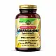 Solgar SFP Ashwagandha Root Extract - 60 vcaps 2023-10-5658