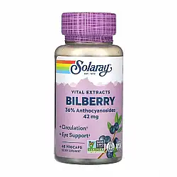 Bilberry Berry Extract 42mg - 60 vcaps