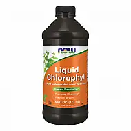 Chlorophyll Liquid Mint - 16 oz (Повреждена банка)