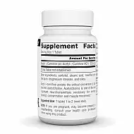 Acetyl L-Carnitine 500 mg - 30 tabs