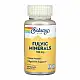 Solaray Fulvic Minerals 100mg - 30 vcaps 2023-10-7162