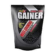 Gainer - 1000g Wild Berry