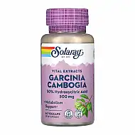 Garcinia Cambogia Fruit Ext 500mg - 60 veg caps