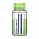 Solaray Korean Ginseng Root 550mg - 50 vcaps 2023-10-2379