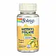 Solaray Methyl Folate 800mcg - 60 lozenges 2023-10-3436