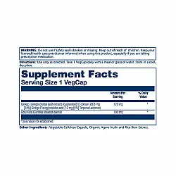 Ginkgo Biloba Extract One 120mg - 30 vcaps