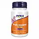 Now Foods Policosanol 10mg - 90 veg caps 100-71-3449725-20