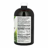 Chlorofresh® Liquid - 16 oz Mint