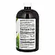 Nature's Way Chlorofresh® Liquid - 16 oz Mint 2023-10-2173