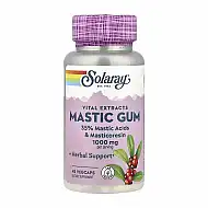 Mastic Gum Extract 500mg - 45 vcaps