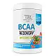 Bodyperson Labs BCAA Recovery - 500g Watermelon 2022-09-0134