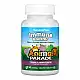 Nature's Plus Immune Booster Chewable - 90 tabs 2022-10-2859