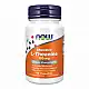 Now Foods L-Theanine 100mg Plus - 90 loz 2022-10-2550
