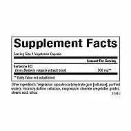 WellBetX Berberine 500mg - 60 vcaps