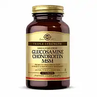 Triple Strength Glucosamine Chondroitin MSM - 60 tabs