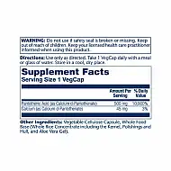 Pantothenic Acid 500mg - 100 veg caps