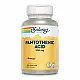 Solaray Pantothenic Acid 500mg - 100 veg caps 2023-10-3579