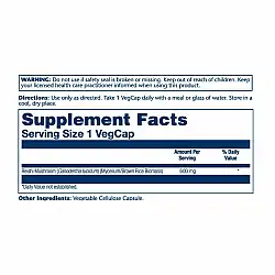 Reishi Mushroom 600mg - 100ct