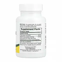 Ultra Pregnenolone with Bioperine - 60 caps