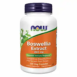 Boswellia Extract 250 mg - 120 vcaps