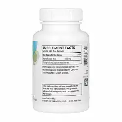Alpha-Lipoic Acid - 60 caps