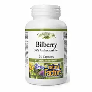 Bilberry 40mg - 90 caps