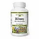 Natural Factors Bilberry 40mg - 90 caps 2023-10-6563