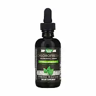 Chlorofresh® Mint 40X Liquid - 59 ml (До 08.26)
