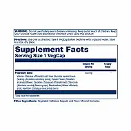 Sleep Blend SP-17 - 100 vcaps