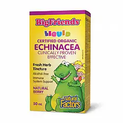 BigFriends Echinacea Alcohol-Free Fresh Herb Tincture for Kids - 50 ml