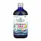Children's DHA - 473 ml