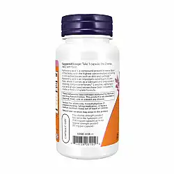 Hyaluronic Acid Double Strength 100 mg - 120 vcaps