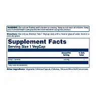 Acetyl L-Carnitine 500mg - 30 vcaps