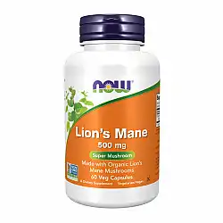 Lion's Mane 500mg - 60 vcaps