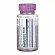 Solaray Bilberry Berry Extract 60mg - 60 vcaps 2023-10-7016