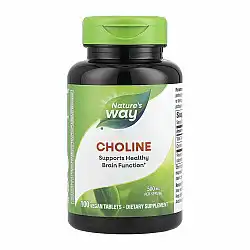Choline 500 mg - 100 tabs