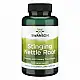Swanson Stinging Nettle Root 500 mg - 100caps 100-69-1073168-20