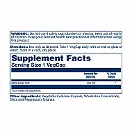 Alpha Lipoic Acid 250mg - 60 vcaps