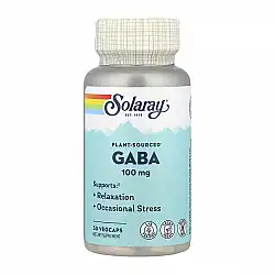 GABA 100mg - 30 caps