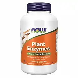 Plant Enzymes - 240 vcaps